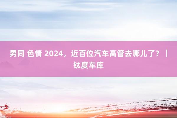 男同 色情 2024，近百位汽车高管去哪儿了？｜钛度车库