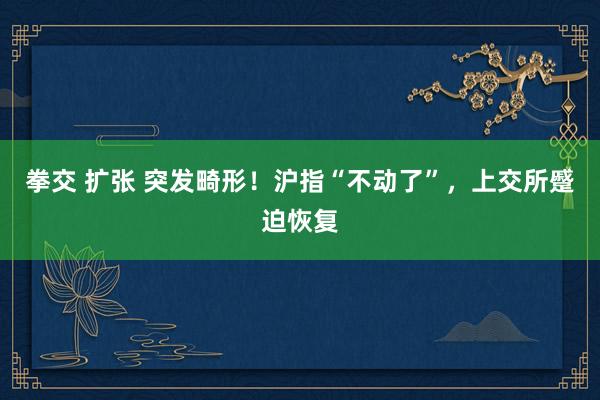 拳交 扩张 突发畸形！沪指“不动了”，上交所蹙迫恢复