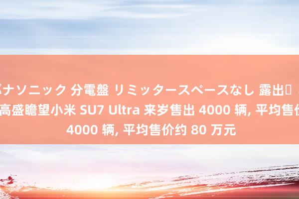 パナソニック 分電盤 リミッタースペースなし 露出・半埋込両用形 高盛瞻望小米 SU7 Ultra 来岁售出 4000 辆， 平均售价约 80 万元