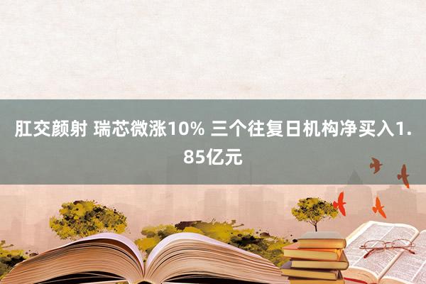 肛交颜射 瑞芯微涨10% 三个往复日机构净买入1.85亿元