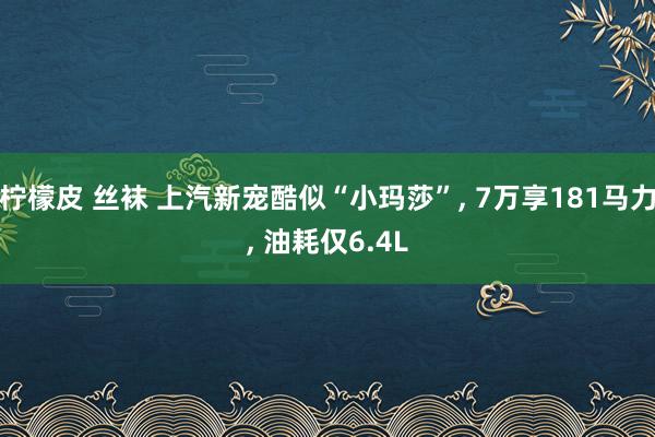 柠檬皮 丝袜 上汽新宠酷似“小玛莎”， 7万享181马力， 油耗仅6.4L