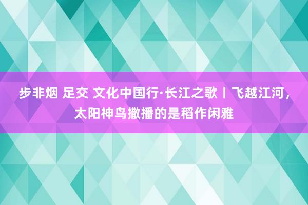 步非烟 足交 文化中国行·长江之歌丨飞越江河，太阳神鸟撒播的是稻作闲雅