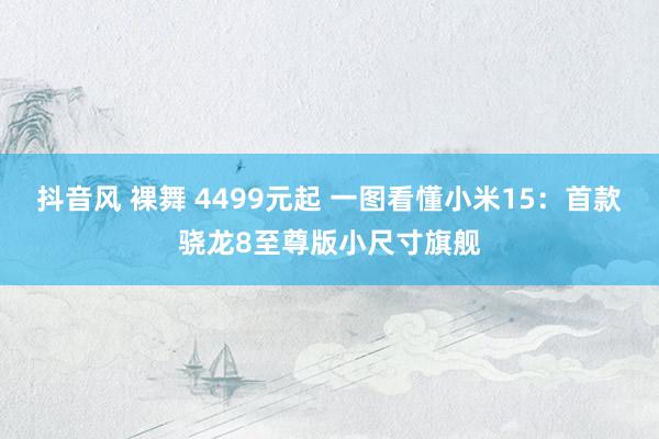 抖音风 裸舞 4499元起 一图看懂小米15：首款骁龙8至尊版小尺寸旗舰