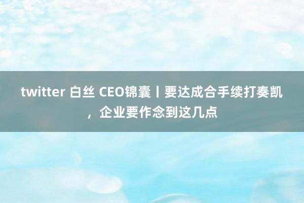 twitter 白丝 CEO锦囊丨要达成合手续打奏凯，企业要作念到这几点