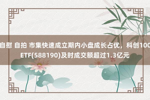 自慰 自拍 市集快速成立期内小盘成长占优，科创100ETF(588190)及时成交额超过1.3亿元