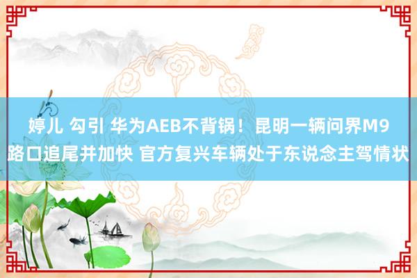 婷儿 勾引 华为AEB不背锅！昆明一辆问界M9路口追尾并加快 官方复兴车辆处于东说念主驾情状