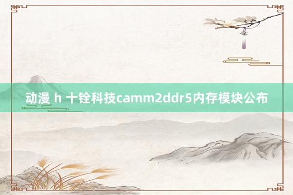 动漫 h 十铨科技camm2ddr5内存模块公布