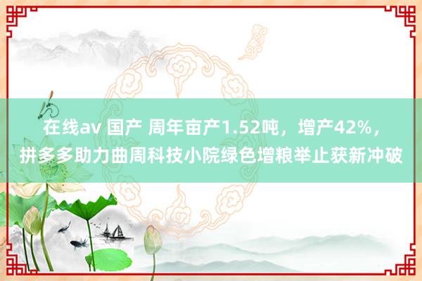 在线av 国产 周年亩产1.52吨，增产42%，拼多多助力曲周科技小院绿色增粮举止获新冲破