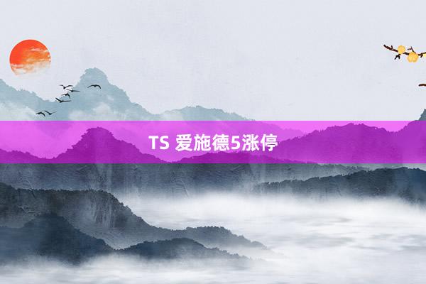 TS 爱施德5涨停