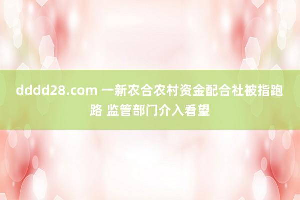 dddd28.com 一新农合农村资金配合社被指跑路 监管部门介入看望