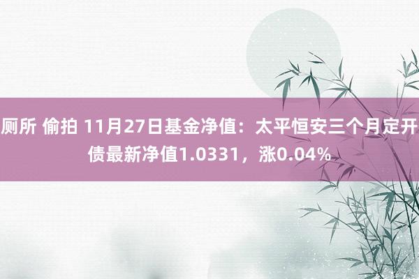 厕所 偷拍 11月27日基金净值：太平恒安三个月定开债最新净值1.0331，涨0.04%