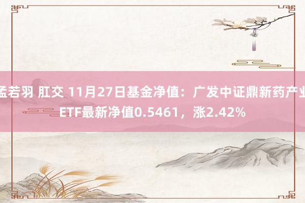 孟若羽 肛交 11月27日基金净值：广发中证鼎新药产业ETF最新净值0.5461，涨2.42%