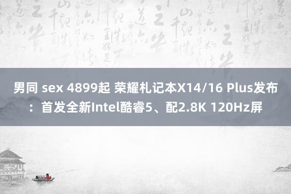 男同 sex 4899起 荣耀札记本X14/16 Plus发布：首发全新Intel酷睿5、配2.8K 120Hz屏