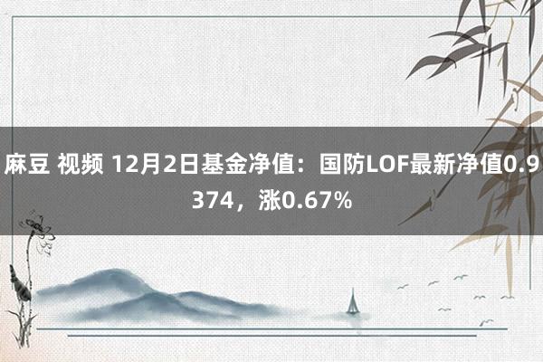 麻豆 视频 12月2日基金净值：国防LOF最新净值0.9374，涨0.67%