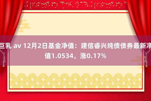 巨乳 av 12月2日基金净值：建信睿兴纯债债券最新净值1.0534，涨0.17%