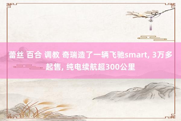 蕾丝 百合 调教 奇瑞造了一辆飞驰smart， 3万多起售， 纯电续航超300公里