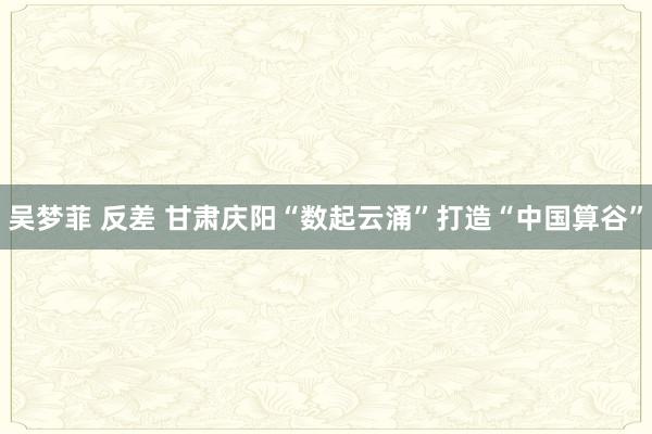 吴梦菲 反差 甘肃庆阳“数起云涌”打造“中国算谷”