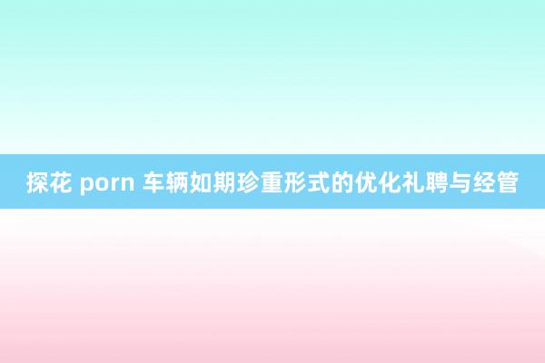 探花 porn 车辆如期珍重形式的优化礼聘与经管