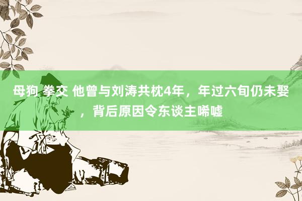 母狗 拳交 他曾与刘涛共枕4年，年过六旬仍未娶，背后原因令东谈主唏嘘