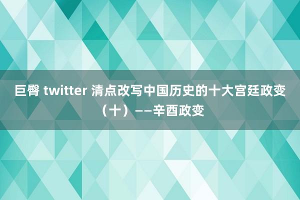 巨臀 twitter 清点改写中国历史的十大宫廷政变（十）——辛酉政变