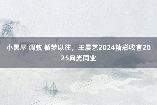 小黑屋 调教 循梦以往，王晨艺2024精彩收官2025向光同业